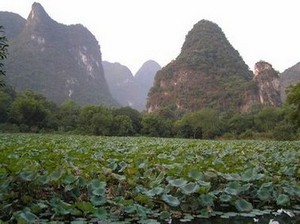 Hills around Yangshuo Park