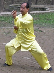 Chen Tai Chi Fahjing : Chen Zhao Sen